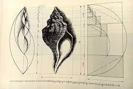 APEX grid