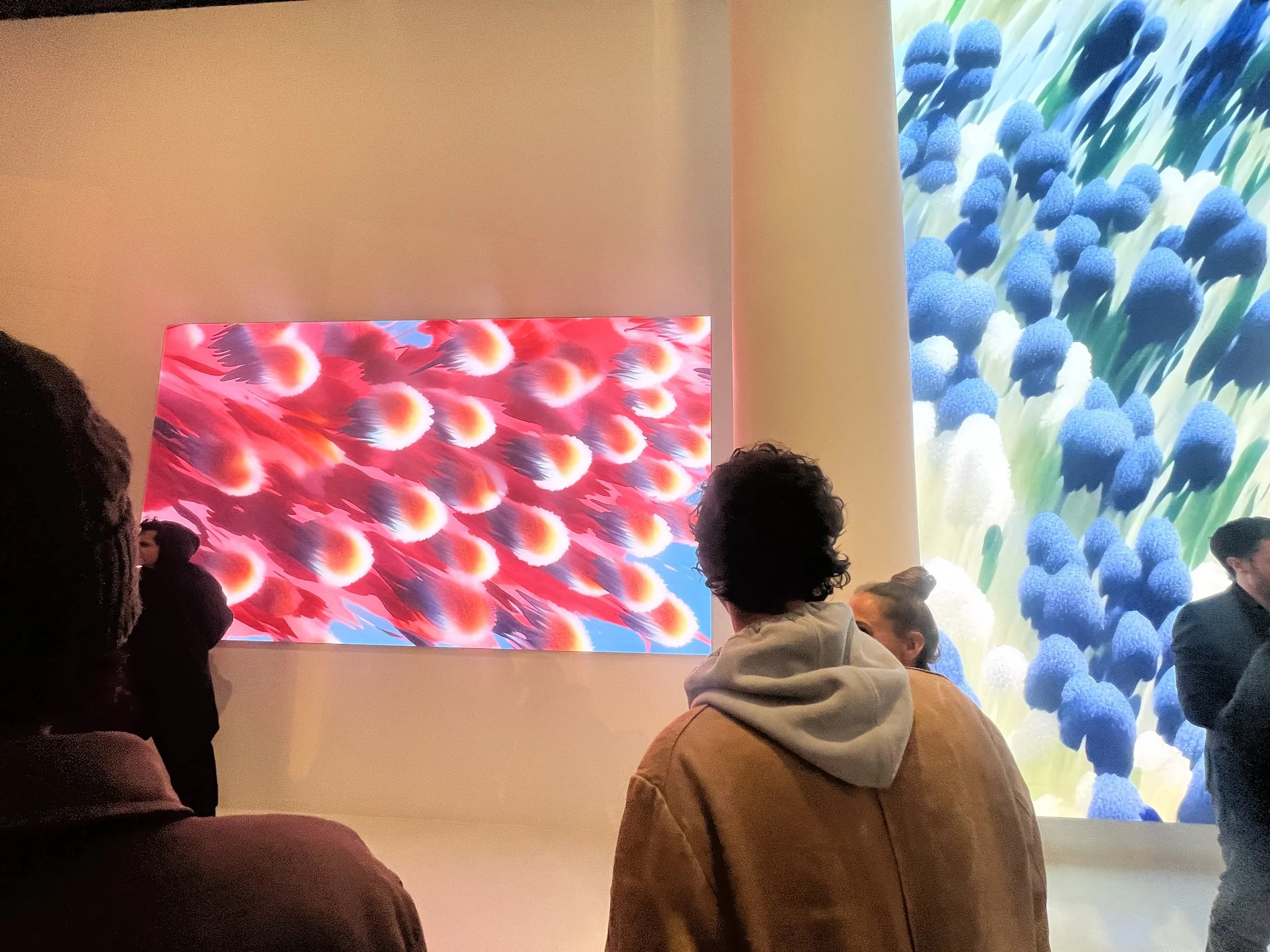 Neo Botanica installation view